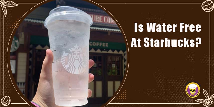 How Much is Starbucks Water: Quenching Thirst, One Sip at a Time